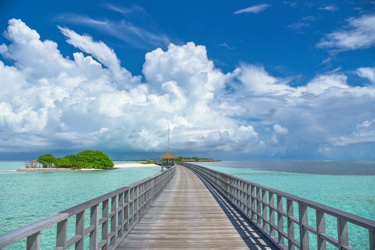 Navigating Career Transitions in Hospitality and Tourism